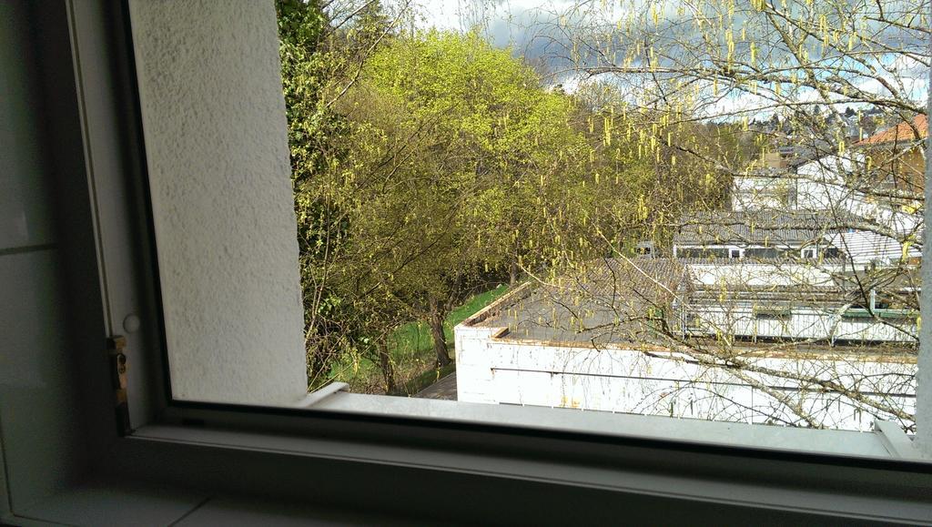 Loft Nagoldtal Apartment Pforzheim Exterior foto